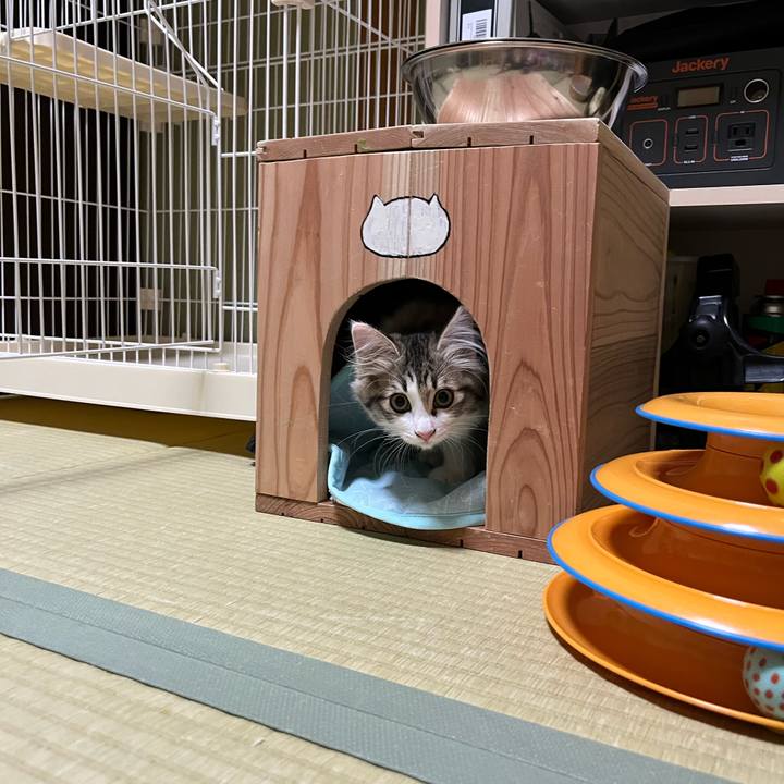 F6e0e760 b745 4c4d 82c5 68ac6c290c9d 1689892821040