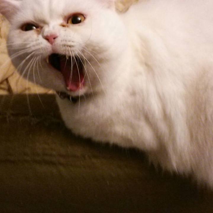 F6e114f0 9365 4bcf 8722 83ea04660346 1562501587809