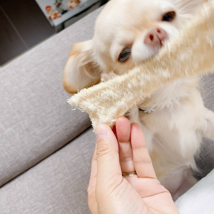 F6e17582 b65b 461d a682 6569448f5976 1610441096854