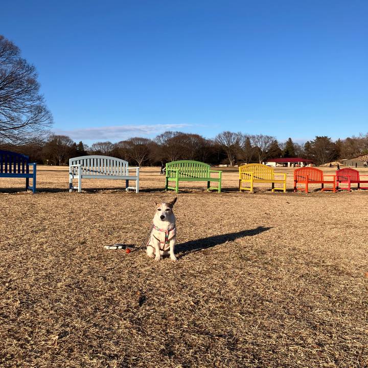 F6e1aaa3 7c55 4faa b8d4 ceba29b8228d 1738279459395