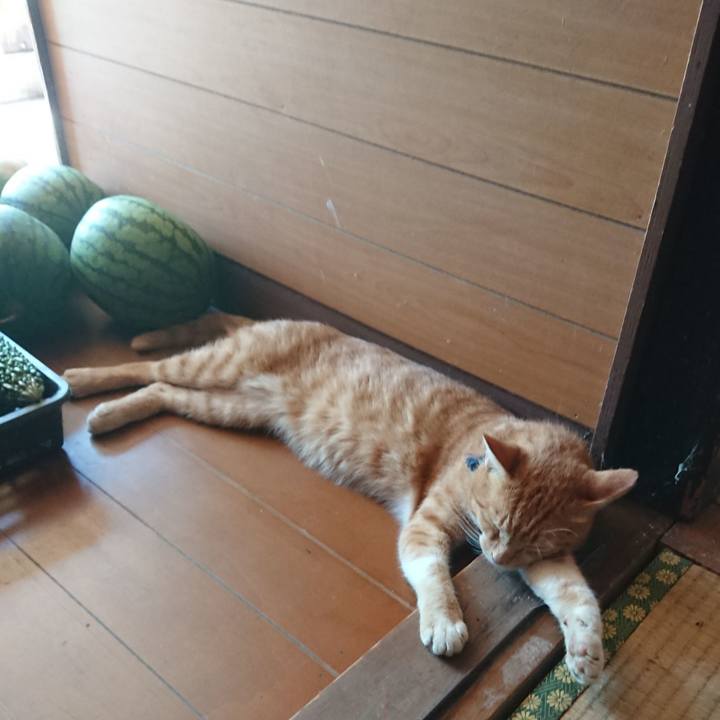 F6e1ae0d 367d 4c80 bb06 22151390ac7f 1567921413287