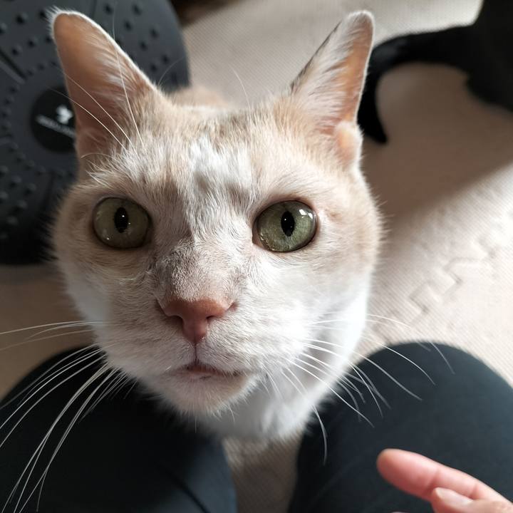 F6e1d576 4b2d 4b12 8c23 ec942507239c 1659998287506