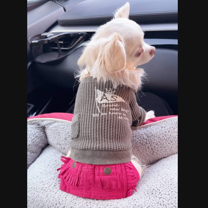 F6e1e3e3 0494 4a88 a967 518803c5f317 1737790981471