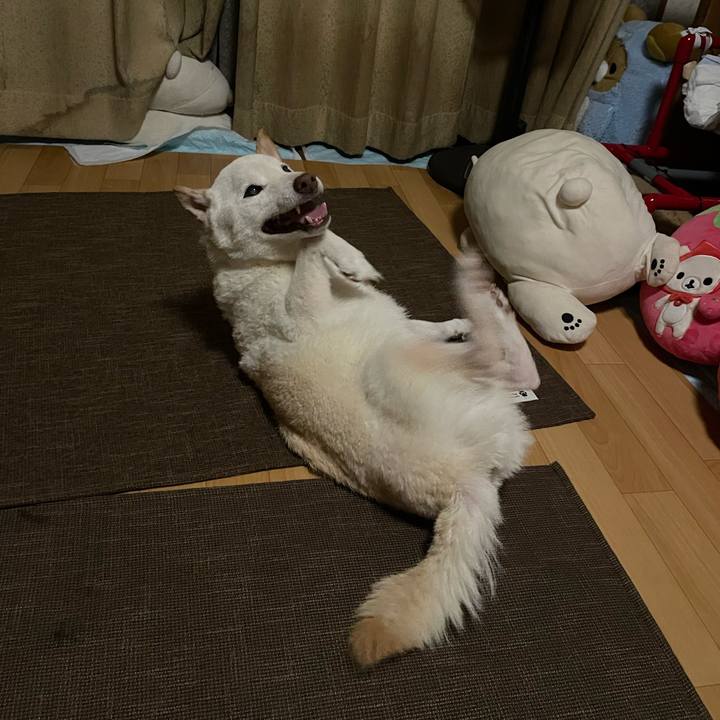 F6e201f8 6d22 4f76 a291 b7e3479fc49b 1665777361877