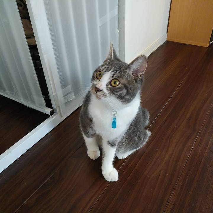 F6e2055c 6bc1 4b0d 989c cefeaf9338a0 1576372007213