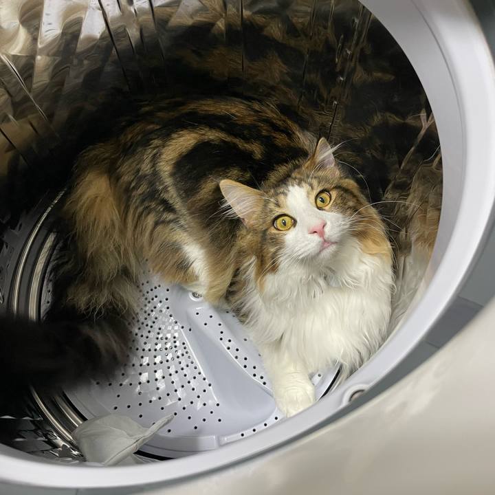 F6e231cf f3c4 4963 a539 1b9eb7332d25 1643964572386