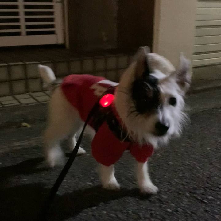 F6e242a2 350a 4eb9 b352 d65334e7a32f 1706962147268