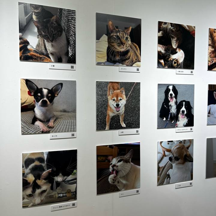 F6e28839 5b91 47a7 b8ca 9862c63b1c20 1762060351339