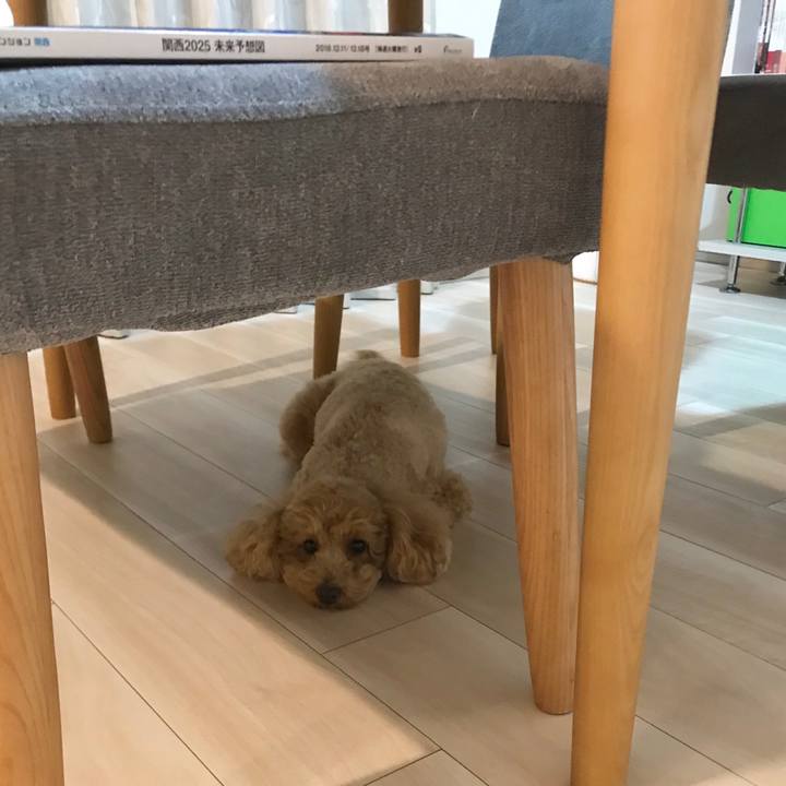 F6e2bc30 7030 4efb be6b df7c9ee99dcc 1544786268929