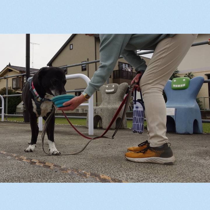 F6e2caa7 5da8 409e b2ff a06250060aad 1748312501595