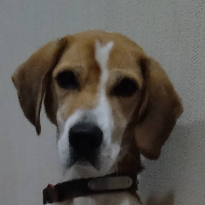 F6e2df89 12f1 480f bfce 49e3631e56ec 1642085823954