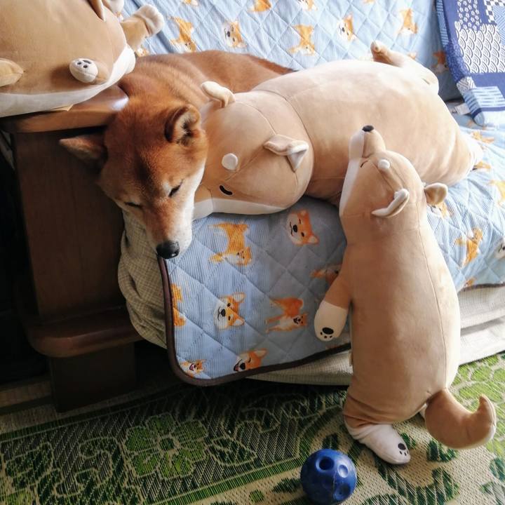 F6e3201e e5c7 4634 b56f 09a1a983327c 1621824722104