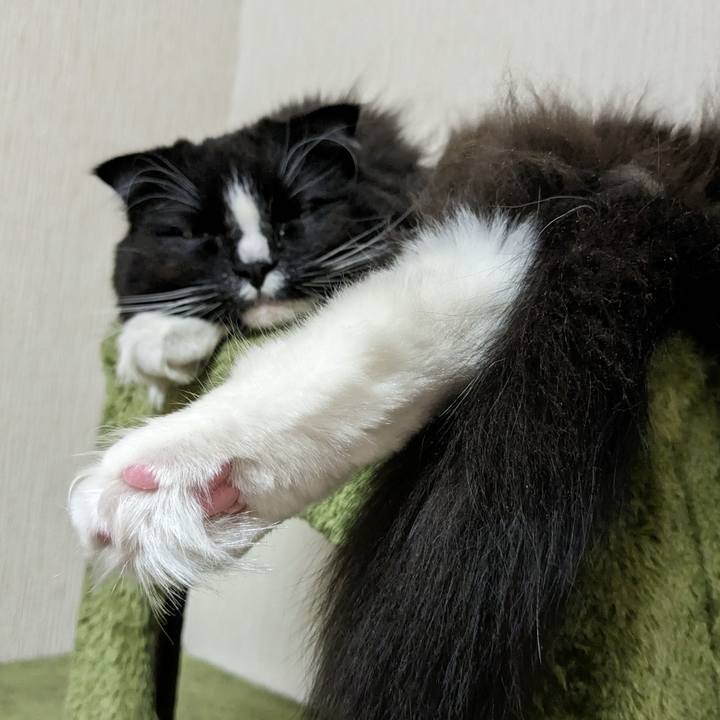 F6e32ec5 3ab2 4d04 a93c e3e60025c4a2 1677072401146