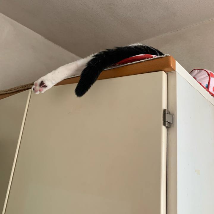 F6e351b1 3d1d 47e8 bcd7 a5579e0a3b55 1687062861890