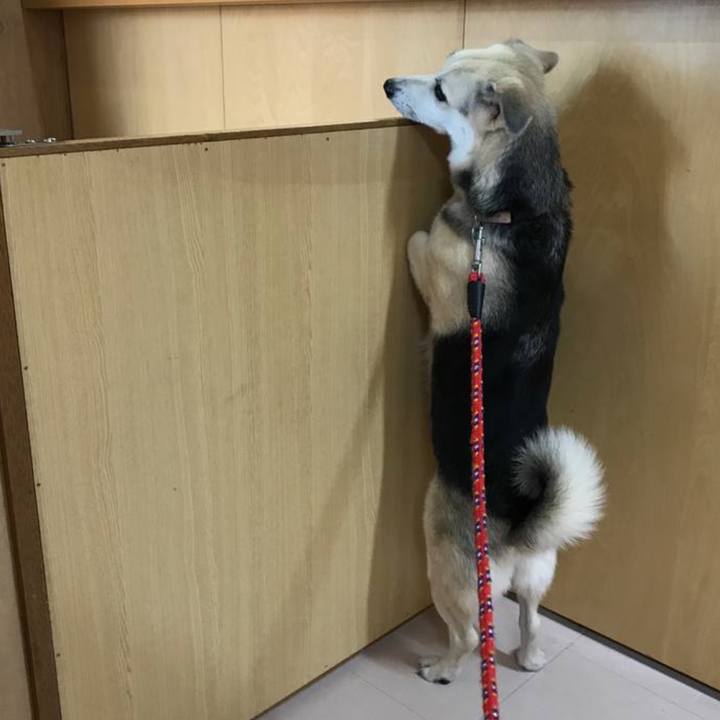 F6e35faa 4f26 4c96 8296 2bb6a3a95beb 1755333479196