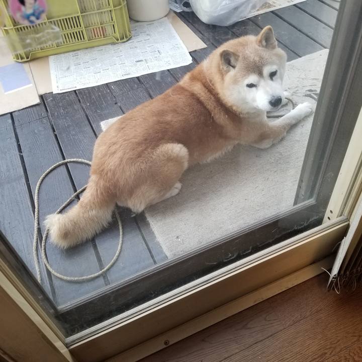 F6e37870 ecf8 45a2 8f64 573b9fb6d167 1709160649550