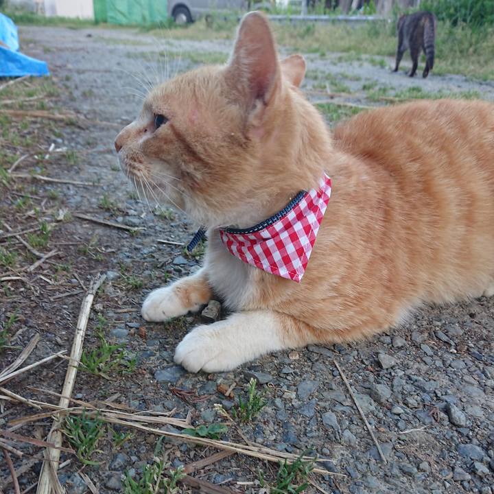 F6e38759 5084 4b67 832a b1cb8ce97481 1558084869493