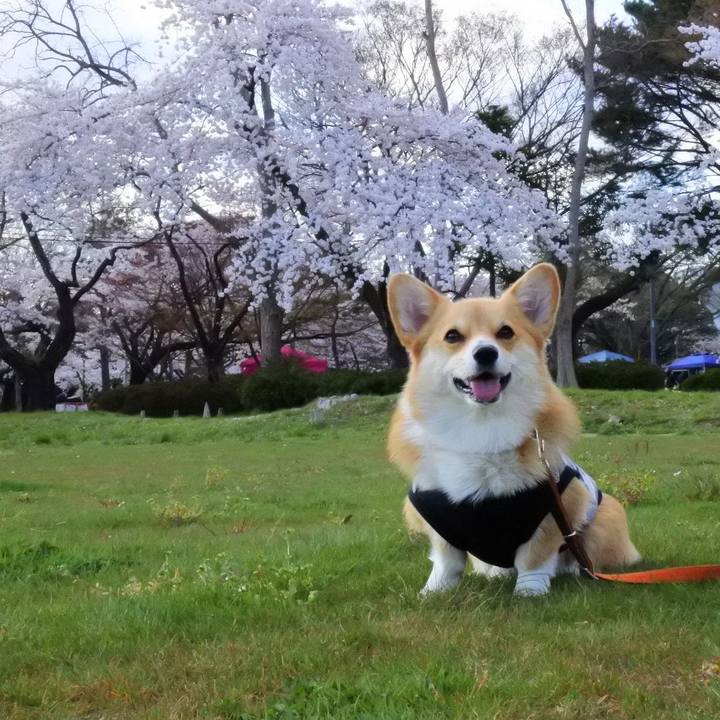 F6e3b7f8 4f7d 4450 afd0 c27ae0ec07f1 1523178254411