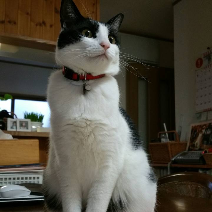 F6e3c367 b4bb 49c1 877b 21202031e7db 1516316632164