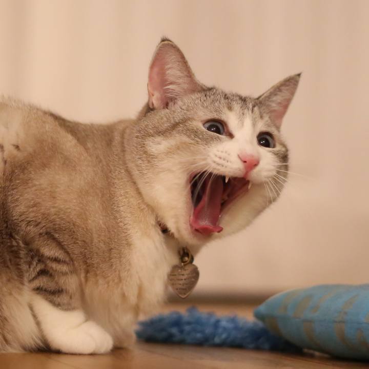 F6e3d5eb 6da2 4999 b2c6 882f696f1d6c 1668951417909