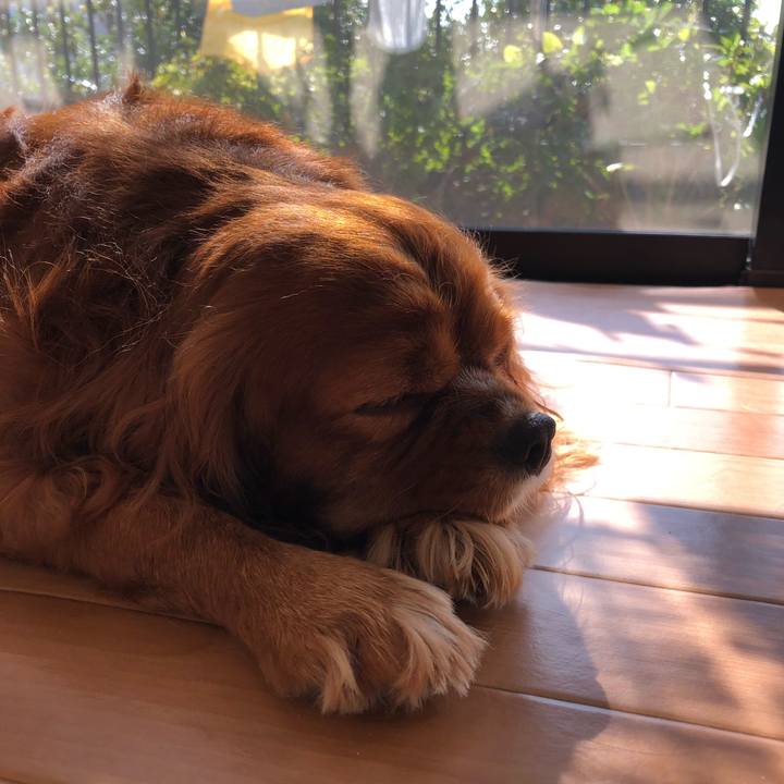 F6e4011e 6b3d 47fb a81a a741b3ffda81 1633133562199