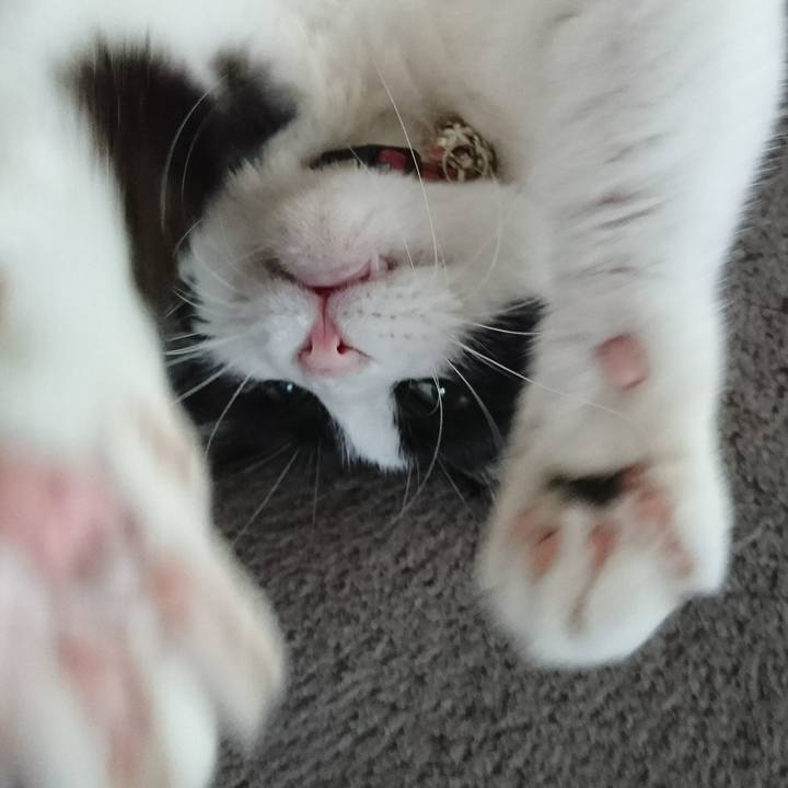 F6e40209 bb78 4de6 8b50 5882499a8045 1567809597431