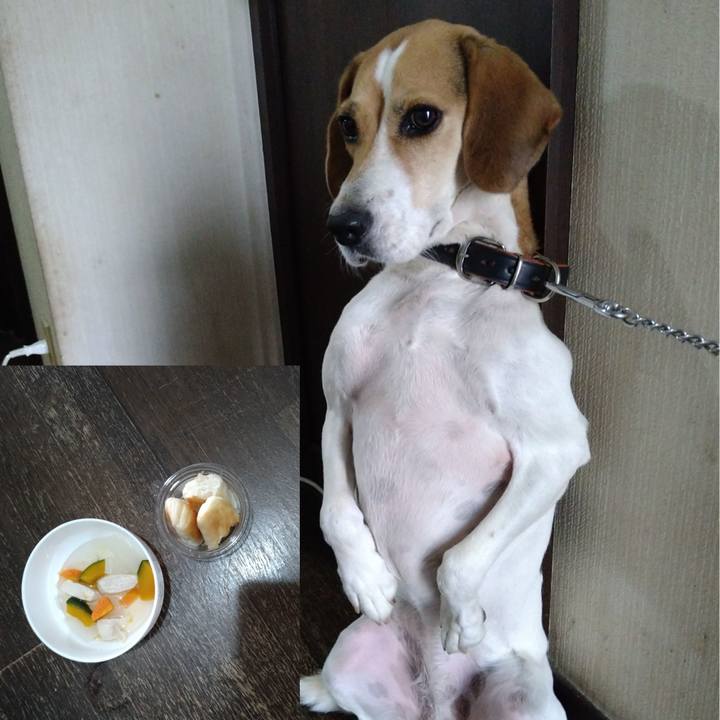 F6e4170e 9630 4e7e 8d89 c337b2be8928 1635221740076