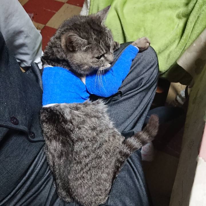 F6e4649e ef03 40b0 9776 8458936b433f 1586858890851