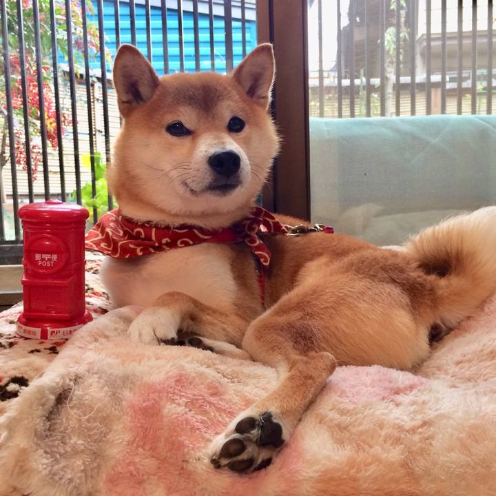 F6e46cfa 10b0 4c59 a559 09980c3ae341 1511493950194