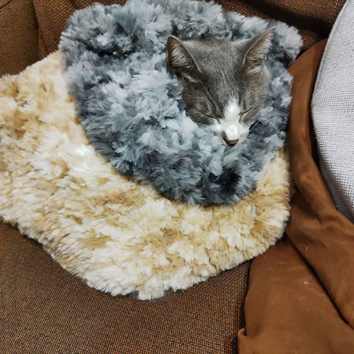 F6e47b91 2f2a 48e0 a0cd efea0c91d599 1666594474289