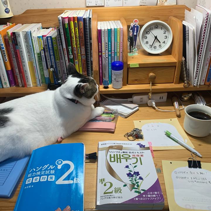 F6e48649 f7a4 4492 b6fe d24cb9f2c50f 1636832378708