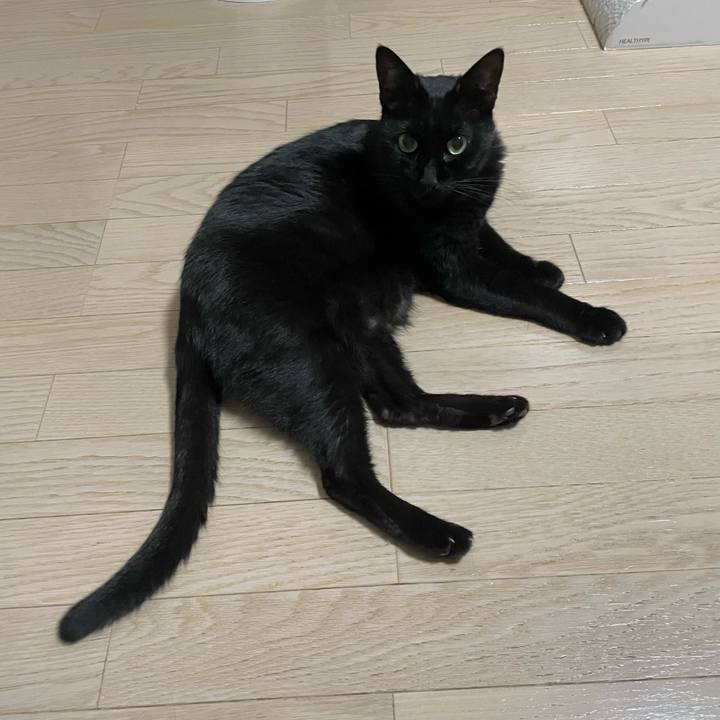 F6e4a1ac dcca 42af 8819 844b4615f52d 1761568201241