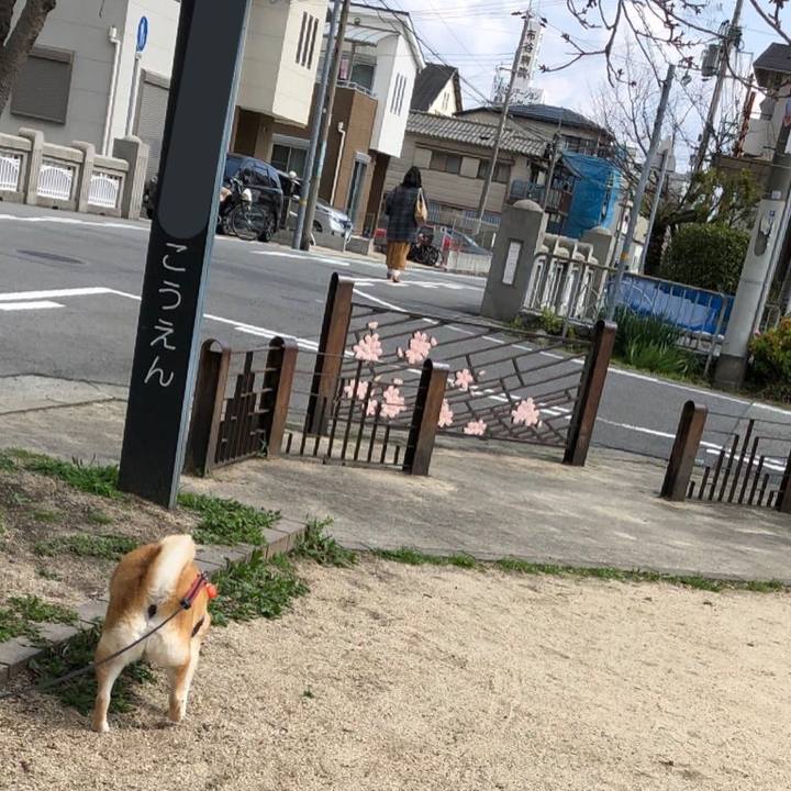 F6e4b65d 005e 4789 acf8 a212f8e4da99 1584331179259