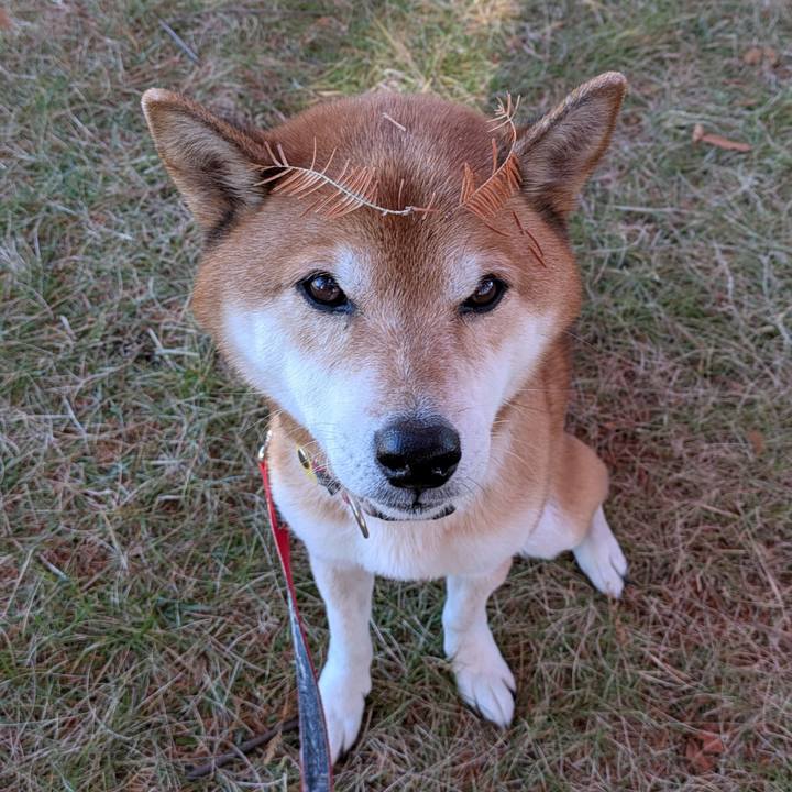 F6e4c7f0 91ed 4a8d ab9d 19bdcd60108e 1733480883896