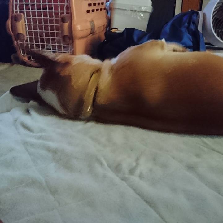 F6e5138c b523 42e3 bfd2 b96615d3958c 1574668335744