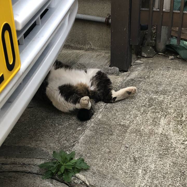 F6e517ad 4a74 436c ad07 929349692718 1524976631824