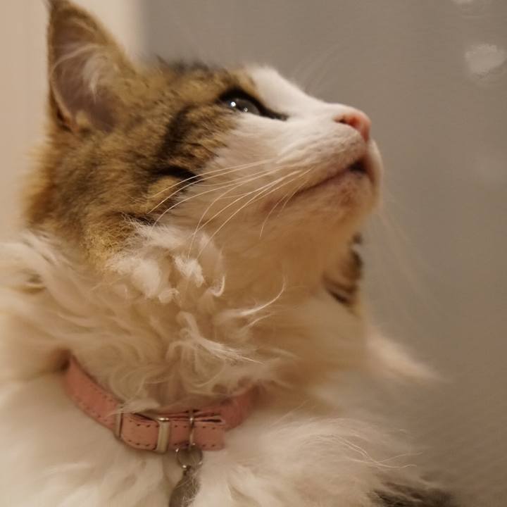 F6e52a7e 9641 49fe 8650 25736fef9257 1558098834114