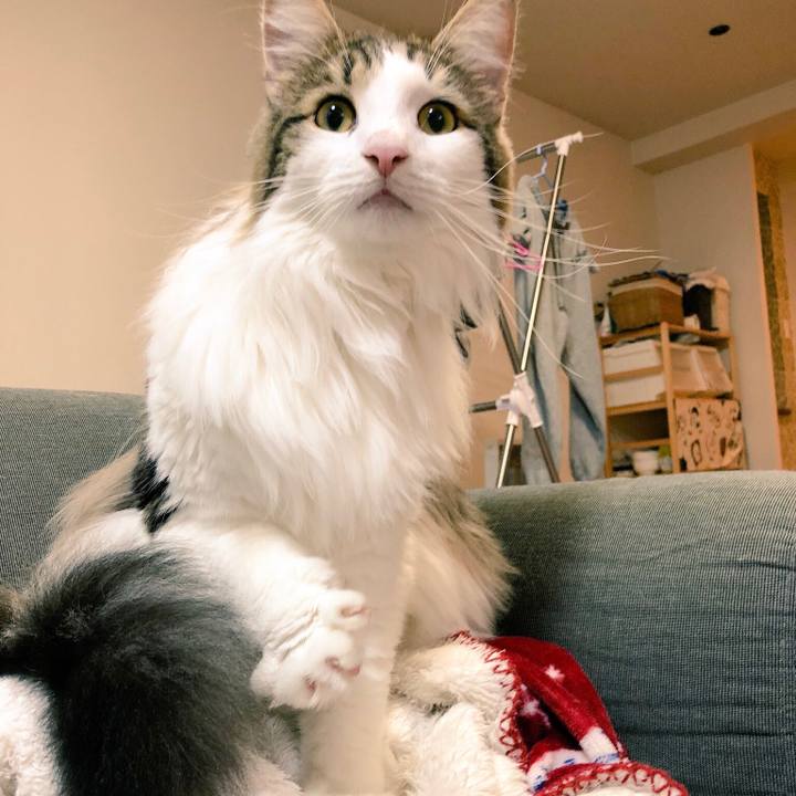 F6e5753e 52b1 4d96 a875 ab86a0da4c55 1545140411669