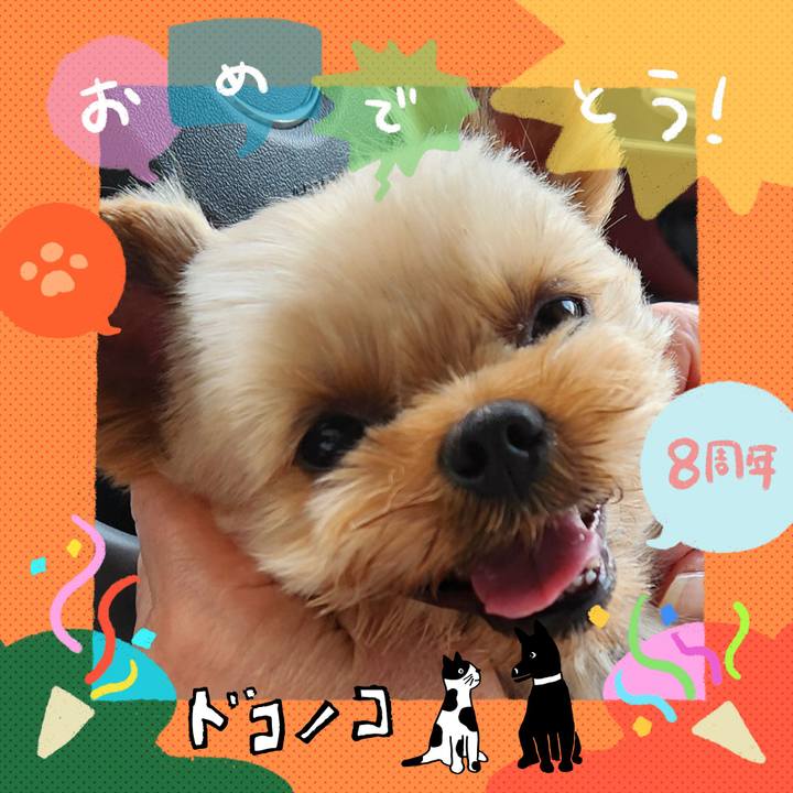 F6e5846e 638a 4989 8f70 c1392c80ccc2 1717834331993