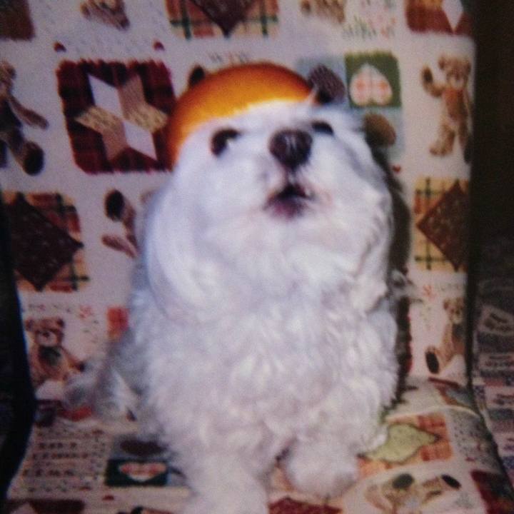 F6e590ec 9dd7 47f9 87ed be7d1156f9d5 1613450266501