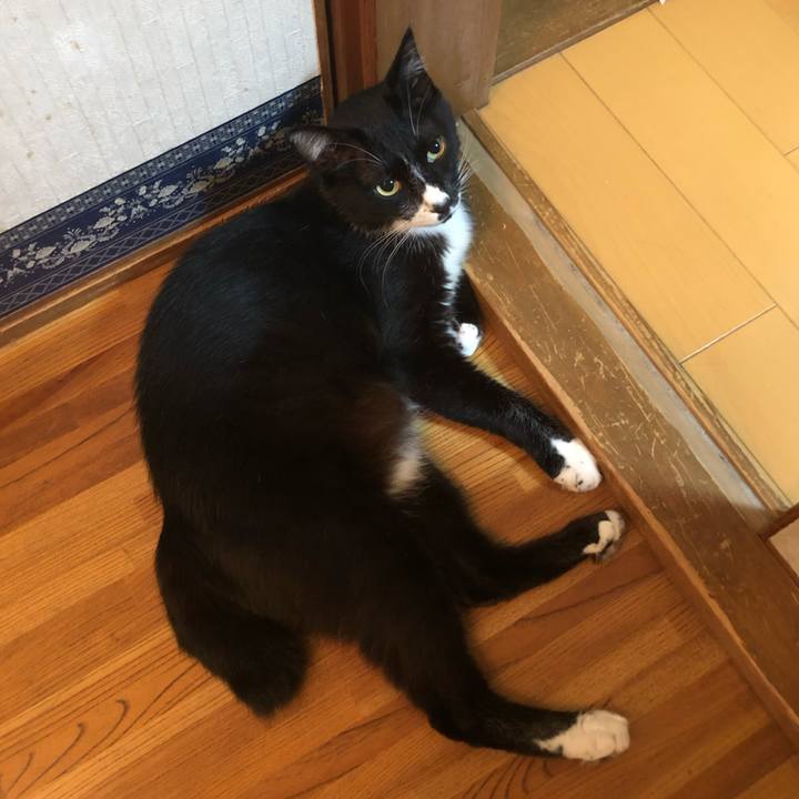 F6e5b739 740b 428c bb6d 224f72785d2f 1663126991273