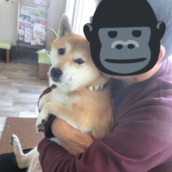 F6e5e5f3 9e8a 4a9c bd85 26c18e920eee 1579313760747