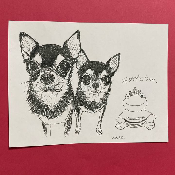 F6e5e87f 8f9b 4447 80bd 27dd289b05a0 1637568787887