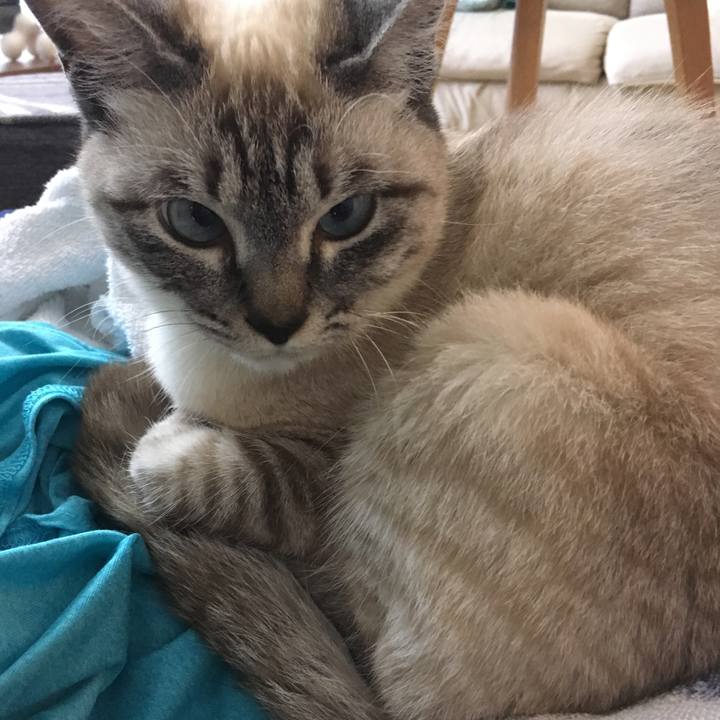 F6e5ed04 849a 4b6a 923b b7d35d6781a4 1557285425708