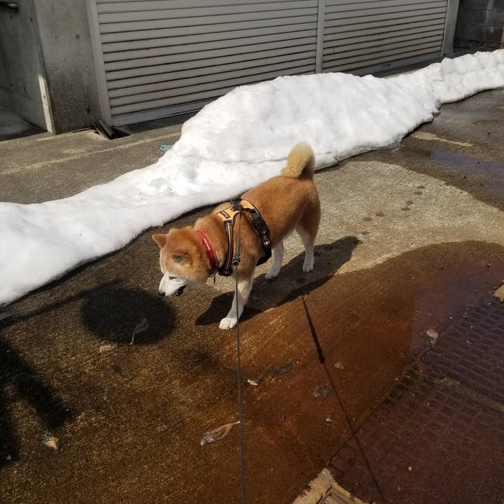 F6e5f402 73e0 4911 ba10 e683c16d4938 1742699991191