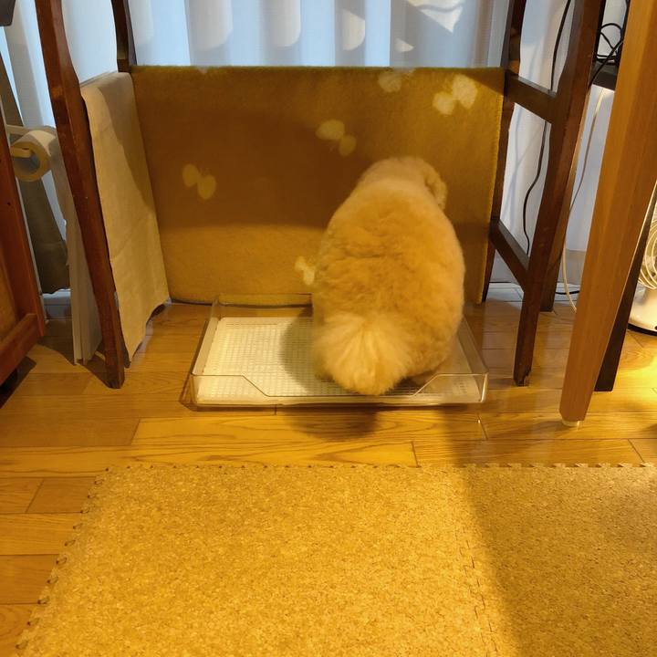 F6e5f77b 257a 4ac5 9a3d 902756b3d9c1 1508318070685