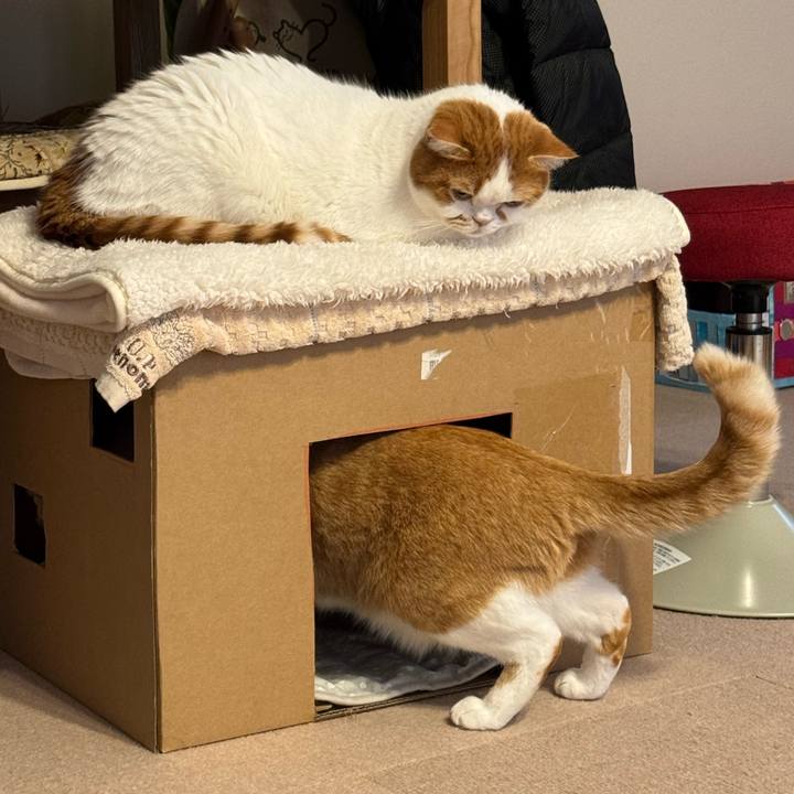 F6e628d4 a6e5 404f bee0 9ff1f0da001b 1773111515717