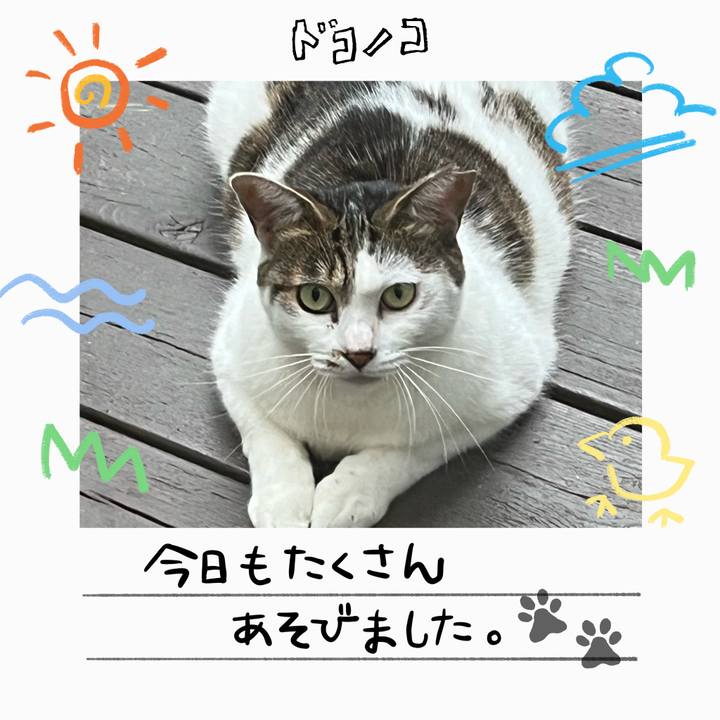 F6e64e3f 717f 4adc a524 461b33940eb8 1755058055465