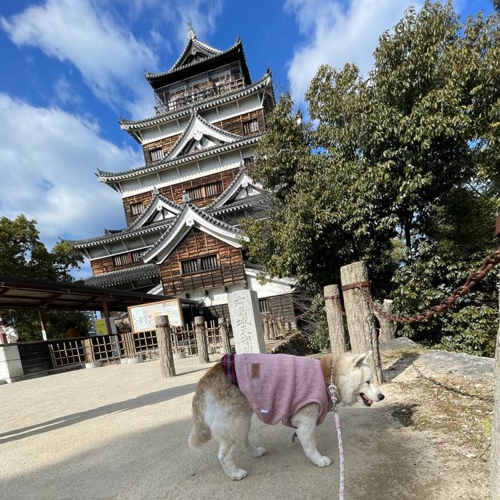 F6e65a9f d975 4408 b4f4 1a717f028504 1740232327836