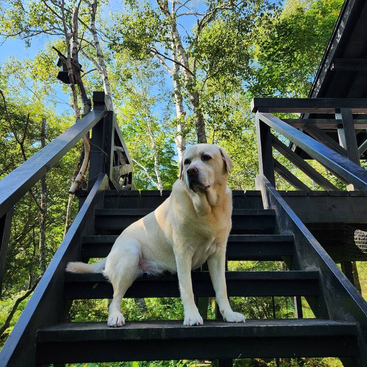 F6e6915c a9a7 44b9 81e2 88394a030bf7 1755760840513